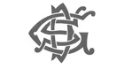 DSG